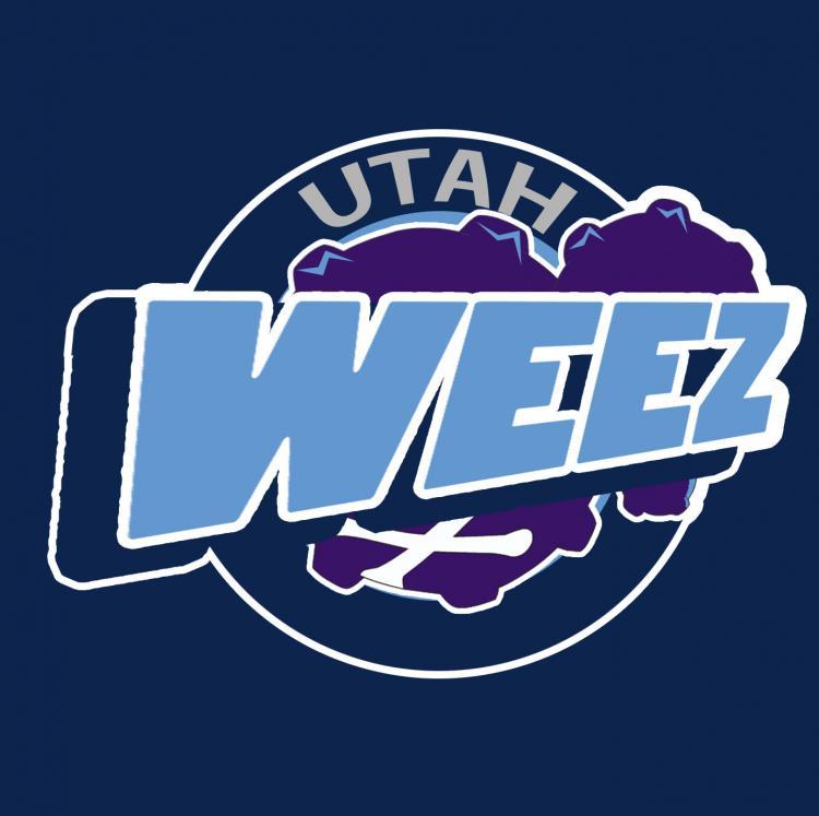 Utah Jazz Pokemon logo iron on heat transfer